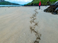 Crookhaven